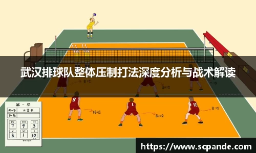 武汉排球队整体压制打法深度分析与战术解读