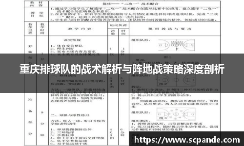重庆排球队的战术解析与阵地战策略深度剖析