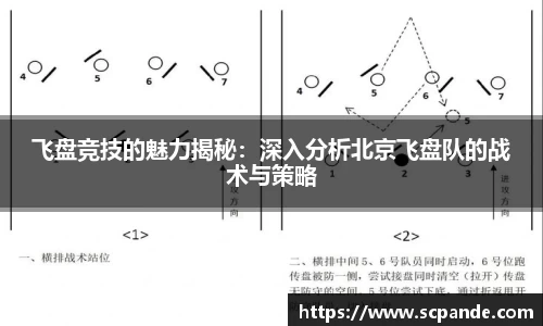 飞盘竞技的魅力揭秘：深入分析北京飞盘队的战术与策略