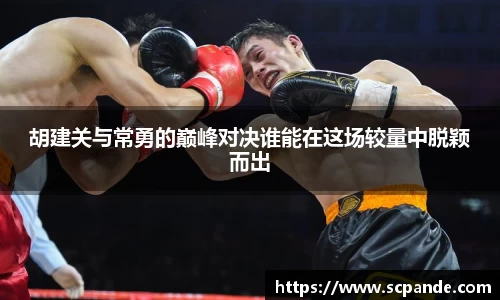 胡建关与常勇的巅峰对决谁能在这场较量中脱颖而出