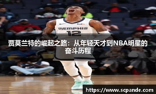 金年会官网