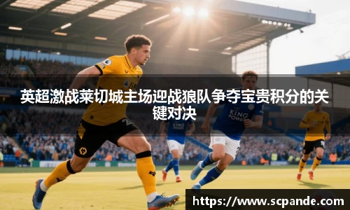 英超激战莱切城主场迎战狼队争夺宝贵积分的关键对决